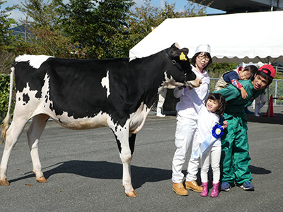 Mamenaジェラート