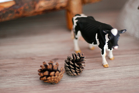 Mamenaジェラート